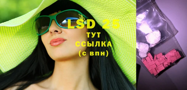 индика Абинск