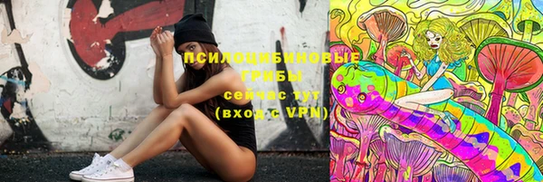 индика Абинск