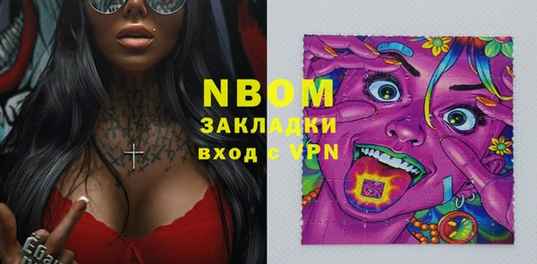 индика Абинск