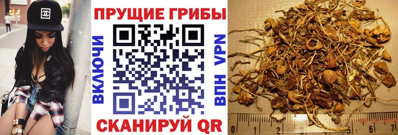 Псилоцибиновые грибы мицелий  Серпухов 